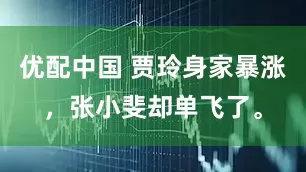 优配中国 贾玲身家暴涨，张小斐却单飞了。