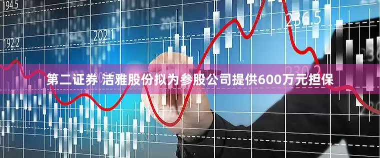 第二证券 洁雅股份拟为参股公司提供600万元担保