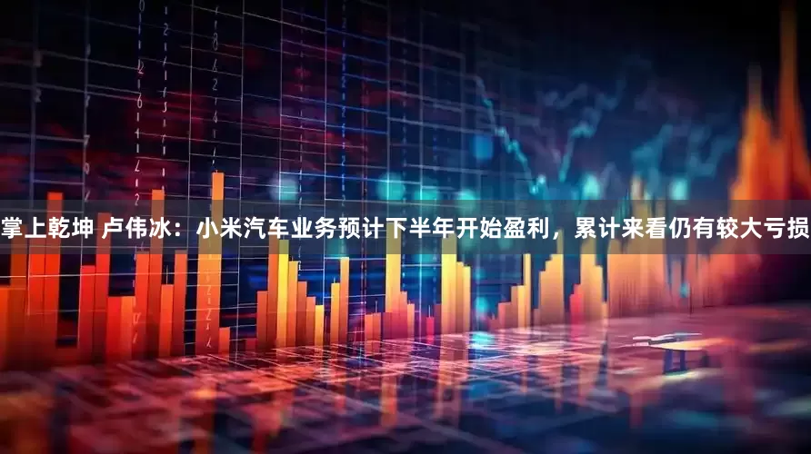 掌上乾坤 卢伟冰：小米汽车业务预计下半年开始盈利，累计来看仍有较大亏损