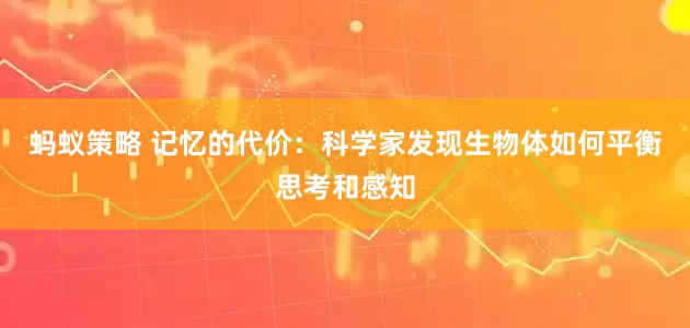 蚂蚁策略 记忆的代价：科学家发现生物体如何平衡思考和感知